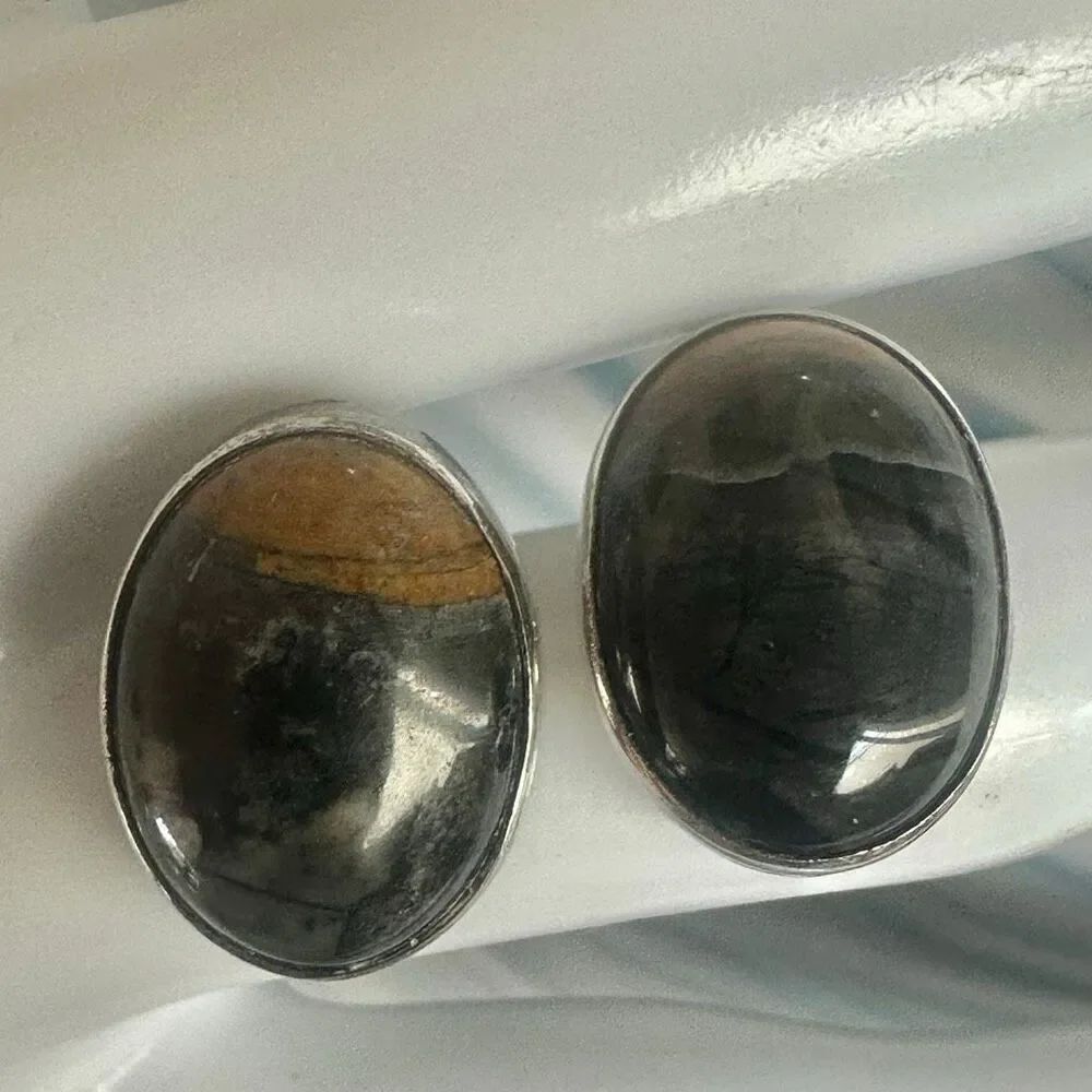 Sterling Silver Petrified Wood Oval Earrings